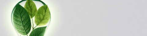 header-fedibel